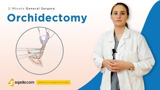 Orchidectomy  Surgery Video Lectures  Medical Student Education  VLearning [upl. by Waldemar]