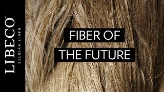 Flax  Fiber of the future [upl. by Maggs]