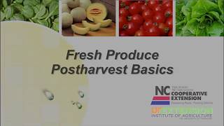 Postharvest Basics for Produce [upl. by Nylleoj]