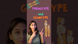 Phenotype amp Genotype  Class 12 shorts neet ytshorts [upl. by Curson]