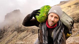 Climbing Mount Kilimanjaro with a Watermelon [upl. by Tav]