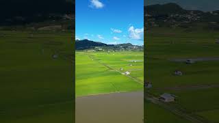 Hnahsin Kut Champhai in buatsaih lai 2024 ZauaVideoGraphy [upl. by Tnarud773]