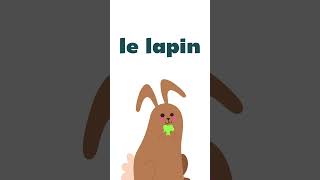 Pets in french [upl. by Columba]