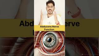 Abducens Nerve in Hindi And Function biology humanbody quiz anatomy [upl. by Christie265]