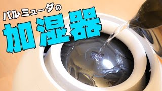 新型バルミューダ加湿器がキター！けどwww [upl. by Thatch100]