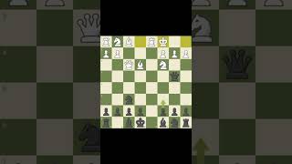 Halosar trap 🔥 ChessChessTrapChessTrapsChessTacticsChessStrategyChessReelsChessShorts [upl. by Blockus]