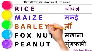 Learn five grains name in English and Hindi for Preschoolers Kids  Paddy Gram Wheat 5 grains name [upl. by Bega]