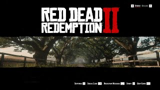 Red Dead Redemption 2 Best Graphics Settings for RTX 3050 Laptop GPU 4GB VRAM [upl. by Ahsimak]