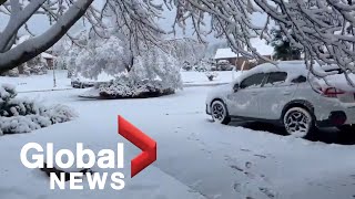 Snow covers Oklahoma Texas in the first days of 2021 [upl. by Ayatnwahs]