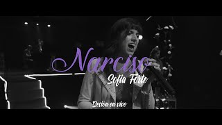 Narciso  Sofía Forte Sesión en vivo [upl. by Buiron501]