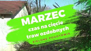 Marzec to odpowiedni czas na cięcie traw ozdobnych [upl. by Essirehs]