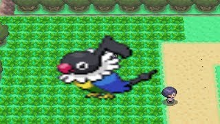 How to find Chatot in Pokemon Diamond and Pearl [upl. by Oiznun]