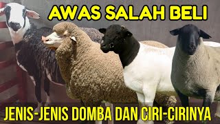 JENISJENIS DOMBA DAN CIRICIRINYA PERBEDAAN DORPER F1 CROSS DORPER TEXEL KOMPOSIT DAN LOKAL [upl. by Zedekiah945]