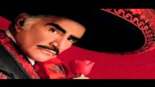 MIX VICENTE FERNANDEZ [upl. by Inttirb]