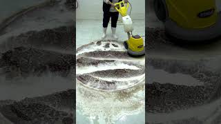 Carpet Cleaning EXPERT Shares Top Secrets [upl. by Zawde699]