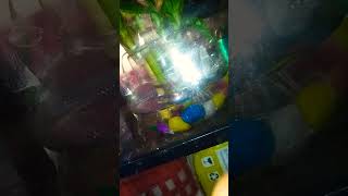 Beta fish🐠🐋🐟🐠🐋🐟 transformation fighter fish tamil funny anirudh subscribe asalkolaru [upl. by Shani]