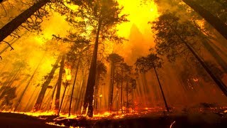 Yosemite Forest Fire Time Lapse and Flyover [upl. by Hola]