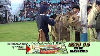 PROGRAMA N°81  13 Festival del Calden 2019  1era Parte [upl. by Aetnuahs]