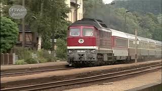 Saalebahn  Laufsteg für Reichsbahn Loks [upl. by Einnahpets]