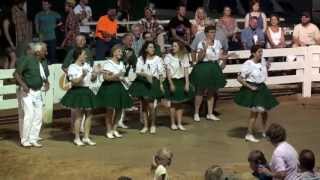 Alleghany Fiddlers Convention  Patrick Henry CloggersNew Spring Valley Boys [upl. by Selma368]