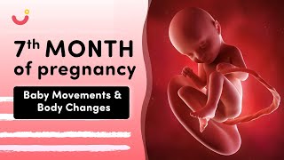 7 Month Pregnancy Baby Movement  7 Month Pregnancy  7th Month Of Pregnancy Baby Movement [upl. by Fronia914]