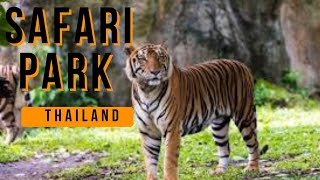 SAFARI PARK THAILAND sebusebimonica safaripark thailand bangkok [upl. by Anale]