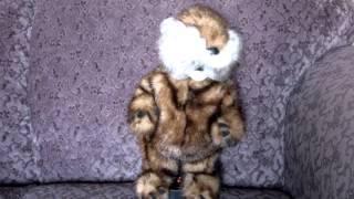 DANCING CADDYSHACK GOPHER IM ALRIGHT [upl. by Hinkle]