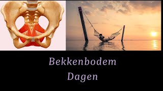 Bekkenbodemdagen een introductie [upl. by Hutchins873]