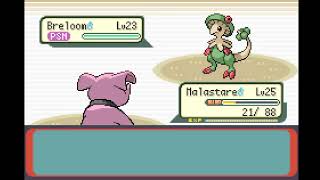 Pokémon Inclement Emerald Hardcore Nuzlocke  2nd Badge Gym Battle vs Brawly [upl. by Ferneau]