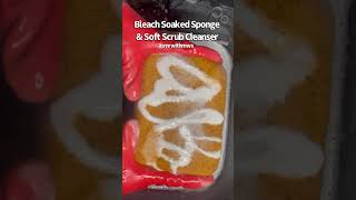 Bleach Soaked Sponge 🧽 amp Soft Scrub Cleanser🫧  asmrwithmws 🤤 [upl. by Ataga106]