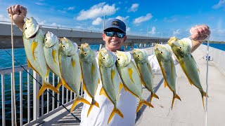 Worlds BEST Fishing Spot Catch Clean Cook Florida Keys Bridge Fishing [upl. by Zeuqirdor]