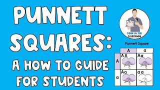 Mendelian Genetics Genotypes Phenotypes and Punnett Squares [upl. by Bever924]