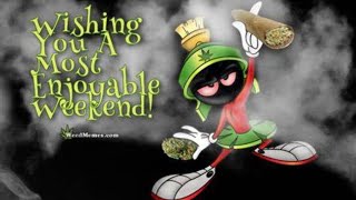 is there a Q36 SPACE MODULATOR cannabis strain [upl. by Olcott]