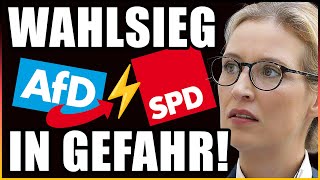 ⚡️🚨 EIL AfD nur noch KNAPP vor SPD in BRANDENBURG Was nun [upl. by Narok21]