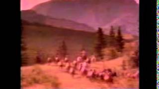 Sept 11 1988 NBCWAVY Commercial Compilation 3 [upl. by Bunny]