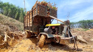 Dramatic handling of the driver transporting wood on muddy road [upl. by Pauli]