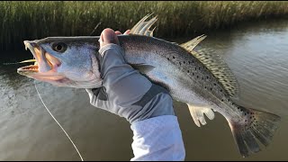 S4 Ep36 SLAM at Offatts Bayou Kayak Fishing Galveston TX [upl. by Tennes]