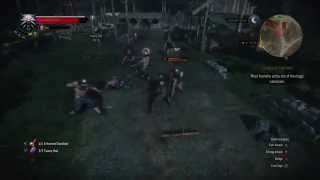 The Witcher 3 Wild Hunt  Cant Touch This Achievement using Axii [upl. by Audris13]