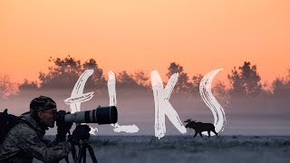 ELKS MATING SEASON  VLOG 29 With English subtitles [upl. by Euqinaj]