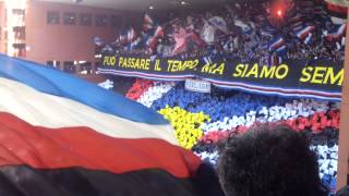 Derby GenoaSampdoria coreografia sud [upl. by Yniattirb]