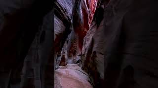 Antelope Canyon USA shortsyoutubeshortsshortsfeed shortvideo [upl. by Eadmund]