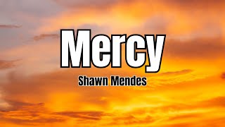 Mercy  Shawn Mendes Lyrics [upl. by Yendor238]