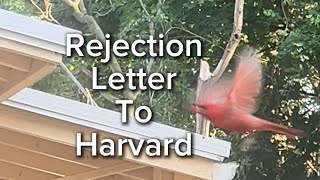 Rejection letter to Harvard  POEM BY SERARI “They came in IV” poetry subscribe art like [upl. by Oecile]