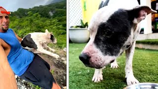 Hiker Rescues Lost Dog From 1000Foot Cliff [upl. by Sherourd]