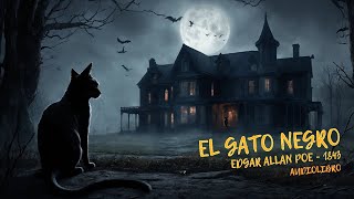 El Gato Negro  Edgar Allan Poe  Audiolibro  Voz HUMANA [upl. by Hniv]