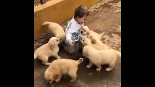 Why Are KIDS and Their FURRY FRIENDS So Happy apt us election funnyclips us election live [upl. by Carlynn]