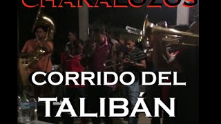 EL CORRIDO DEL TALIBÁN  LOS CHAKALOZOS DEL RANCHO DE ARCELIA GUERRERO  COCHOS  ESTRENO 2016 [upl. by Odravde461]