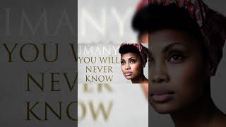 IMANY  You Will Never Know Bergamot Remix imany youwillneverknow dontbesoshy remix deephouse [upl. by Kyd]