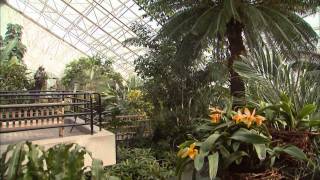 FoellingerFreimann Botanical Conservatory [upl. by Haldes257]