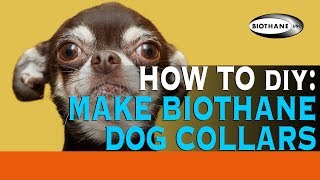 How to Make a BioThane Dog Collar [upl. by Attolrahc432]